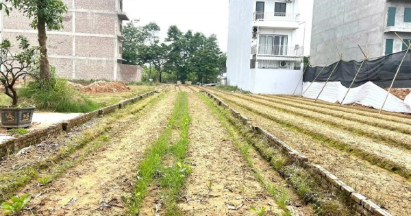 Giá đất nền tách thửa ven đường Vành đai 4 liên tục “tăng nóng”