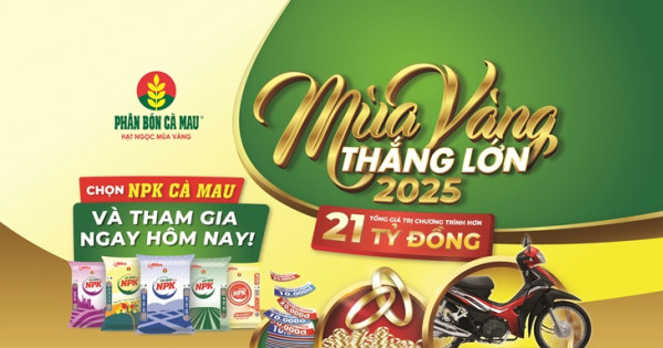 NPK Cà Mau 20-10-10: Chọn đúng, trúng mùa vàng