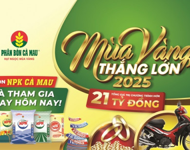 NPK Cà Mau 20-10-10: Chọn đúng, trúng mùa vàng