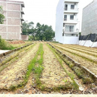 Giá đất nền tách thửa ven đường Vành đai 4 liên tục “tăng nóng”