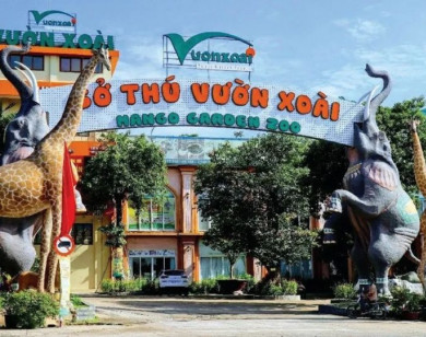 Đồng Nai: Yêu cầu chấm dứt hoạt động Khu du lịch Vườn Xoài và rà soát nhiều dự án lớn khác