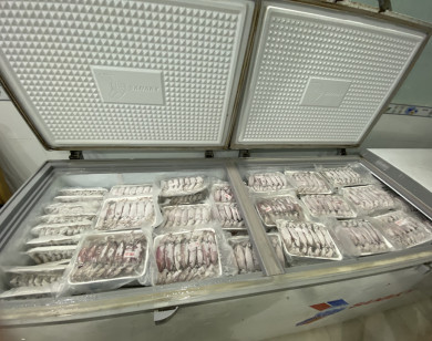 TP Hồ Chí Minh: Phát hiện gần 70 tấn nội tạng và thịt động vật không rõ nguồn gốc
