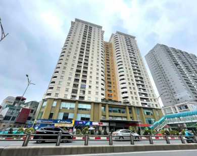 Dòng tiền “tháo chạy” khỏi đất nền quay trở lại phân khúc cao tầng