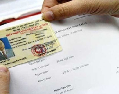 Phát hiện tình trạng mua bán, sử dụng giấy phép lái xe giả