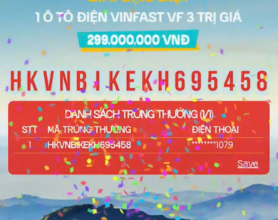 “Hào khí Việt Nam - Sức Xanh lan tỏa”: Triệu hành trình xanh, triệu niềm tin gieo