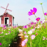 Tử vi ngày 25/6/2025 của 12 cung hoàng đạo: Bảo Bình nên giảm chi tiêu