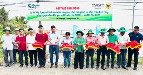 Phân bón Bình Điền đẩy mạnh dự án xây dựng mô hình canh tác lúa giảm phát thải nhà kính