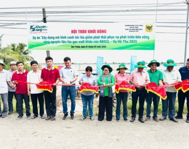 Phân bón Bình Điền đẩy mạnh dự án xây dựng mô hình canh tác lúa giảm phát thải nhà kính