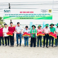Phân bón Bình Điền đẩy mạnh dự án xây dựng mô hình canh tác lúa giảm phát thải nhà kính
