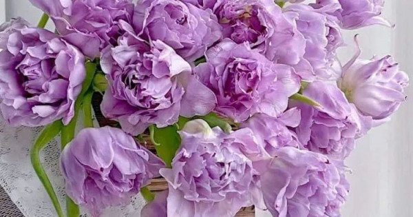 Tử vi ngày 28/6/2025 của 12 cung hoàng đạo: Song Ngư chuyện tình cảm không được suôn sẻ