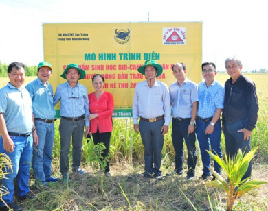 Từ Nghị quyết 57-NQ/TW của Bộ Chính trị đến thực tiễn hoạt động của doanh nghiệp sản xuất phân bón