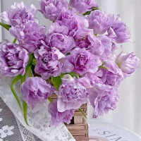 Tử vi ngày 28/6/2025 của 12 cung hoàng đạo: Song Ngư chuyện tình cảm không được suôn sẻ
