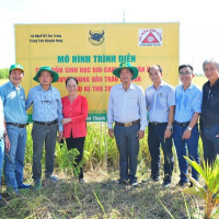 Từ Nghị quyết 57-NQ/TW của Bộ Chính trị đến thực tiễn hoạt động của doanh nghiệp sản xuất phân bón
