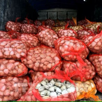 Quảng Ninh thu giữ 17 tấn ngao và hàu không rõ nguồn gốc