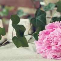 Tử vi ngày 1/7/2025 của 12 cung hoàng đạo: Cự Giải cần nghỉ ngơi nhiều hơn