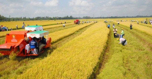 Kéo dài thời gian miễn thuế sử dụng đất nông nghiệp đến hết ngày 31/12/2030
