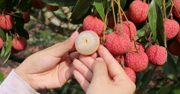 5 trái cây có đặc tính nóng nên tránh hoặc hạn chế ăn trong mùa hè