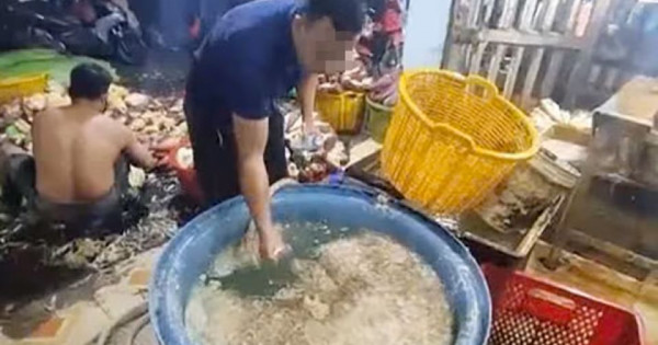 Phát hiện 3 cơ sở ở TP Hồ Chí Minh ngâm hoa chuối với hàn the, chất tẩy trắng