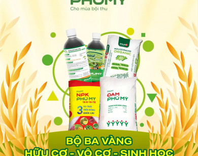 Bộ ba vàng vô cơ – hữu cơ – sinh học của Phú Mỹ - PVFCCo