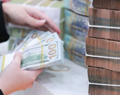 Áp lực tỷ giá USD/VND chưa được giải tỏa