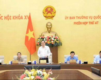 Ước tính có khoảng 30% sinh viên tốt nghiệp không làm việc trong lĩnh vực được đào tạo