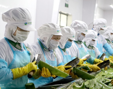 GC Food: Hành Trình kiến tạo “thực phẩm hạnh phúc” bằng nông sản sạch