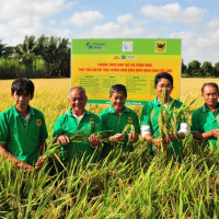 Thực trạng Can-xi (Ca) đất lúa vùng Đồng bằng sông Cửu Long từ kết quả chương trình “Canh tác lúa thông minh”