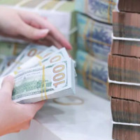 Áp lực tỷ giá USD/VND chưa được giải tỏa