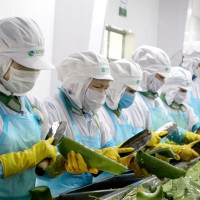 GC Food: Hành Trình kiến tạo “thực phẩm hạnh phúc” bằng nông sản sạch
