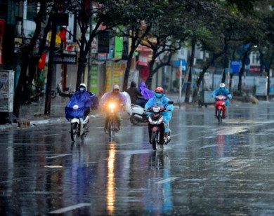 Thời tiết ngày 12/7/2025: Bắc Bộ và Bắc Trung Bộ cục bộ có mưa lớn