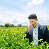 Lâm Đồng - Việt Nam sẽ trở thành trung tâm trà của thế giới