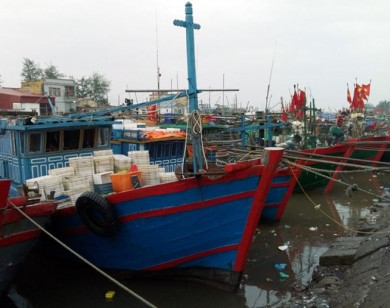 Hướng dẫn hoặc cưỡng chế tàu thuyền không chấp hành lệnh tránh bão số 3