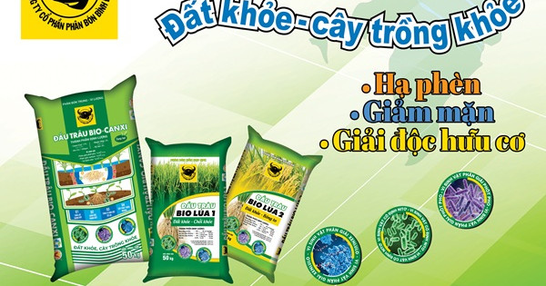 Hành trình đưa vi sinh vật vào phân bón Đầu Trâu Bio-Canxi: Bước đột phá cho nông nghiệp bền vững