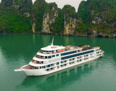 Cần làm gì để giữ an toàn khi tham gia tour tàu du lịch?