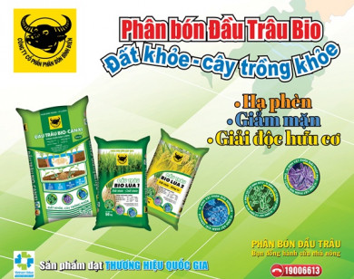 Hành trình đưa vi sinh vật vào phân bón Đầu Trâu Bio-Canxi: Bước đột phá cho nông nghiệp bền vững