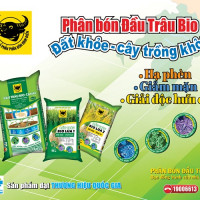 Hành trình đưa vi sinh vật vào phân bón Đầu Trâu Bio-Canxi: Bước đột phá cho nông nghiệp bền vững