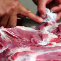 Những dấu hiệu nhận biết thịt nhiễm tả heo châu Phi
