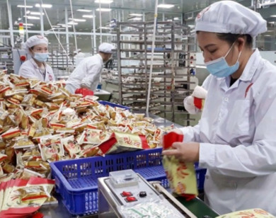 Thương mại điện tử toàn cầu: bàn đạp mới cho xuất khẩu hàng Việt