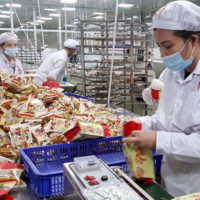 Thương mại điện tử toàn cầu: bàn đạp mới cho xuất khẩu hàng Việt