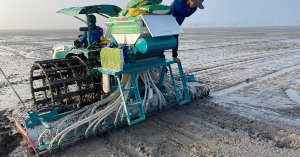Lợi ích của phân bón cải tạo đất