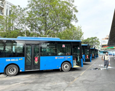 Thêm hơn 400 xe buýt điện phục vụ người dân TP Hồ Chí Minh