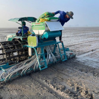 Lợi ích của phân bón cải tạo đất