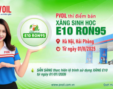 Bắt đầu thí điểm bán xăng E10 từ ngày 1/8