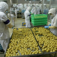 Củng cố sức cạnh tranh cho nông sản Việt