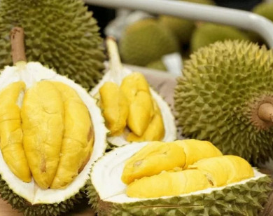 Ban hành Quy trình kiểm soát an toàn thực phẩm với quả sầu riêng tươi xuất khẩu