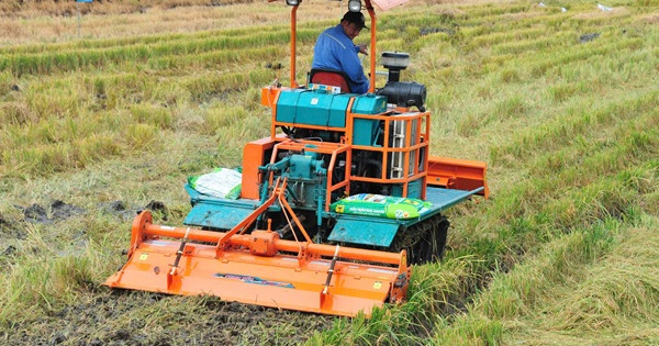 Đầu Trâu Bio-Canxi: Giải pháp đột phá từ thực tiễn đồng ruộng vùng ĐBSCL
