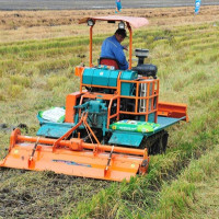 Đầu Trâu Bio-Canxi: Giải pháp đột phá từ thực tiễn đồng ruộng vùng ĐBSCL