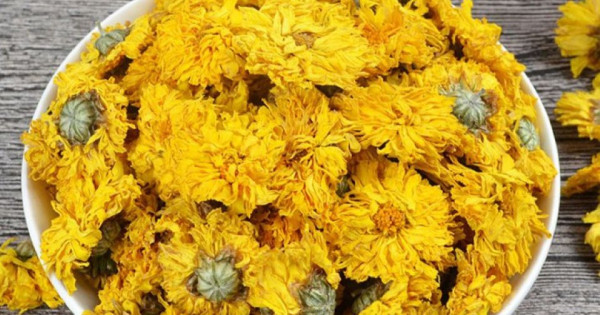 Lô dược liệu Cúc hoa vàng bị thu hồi do không đạt tiêu chuẩn chất lượng