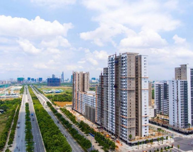 Chủ đầu tư dự án New City Thủ Thiêm nợ thuế “khủng” với hơn 3.200 tỷ đồng