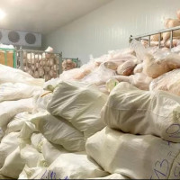 Gia Lai: Tiêu hủy hơn 100 tấn heo sữa đông lạnh không rõ nguồn gốc